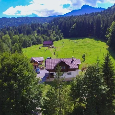 Din Poiana Holiday home *