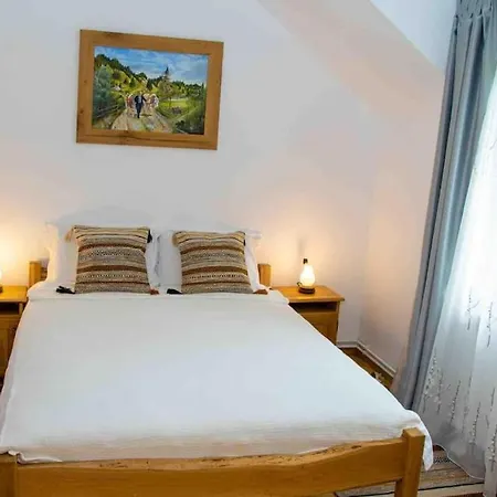 Holiday home Din Poiana